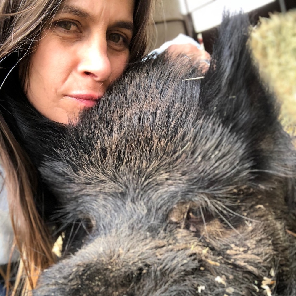 Meet your Posher, Amy